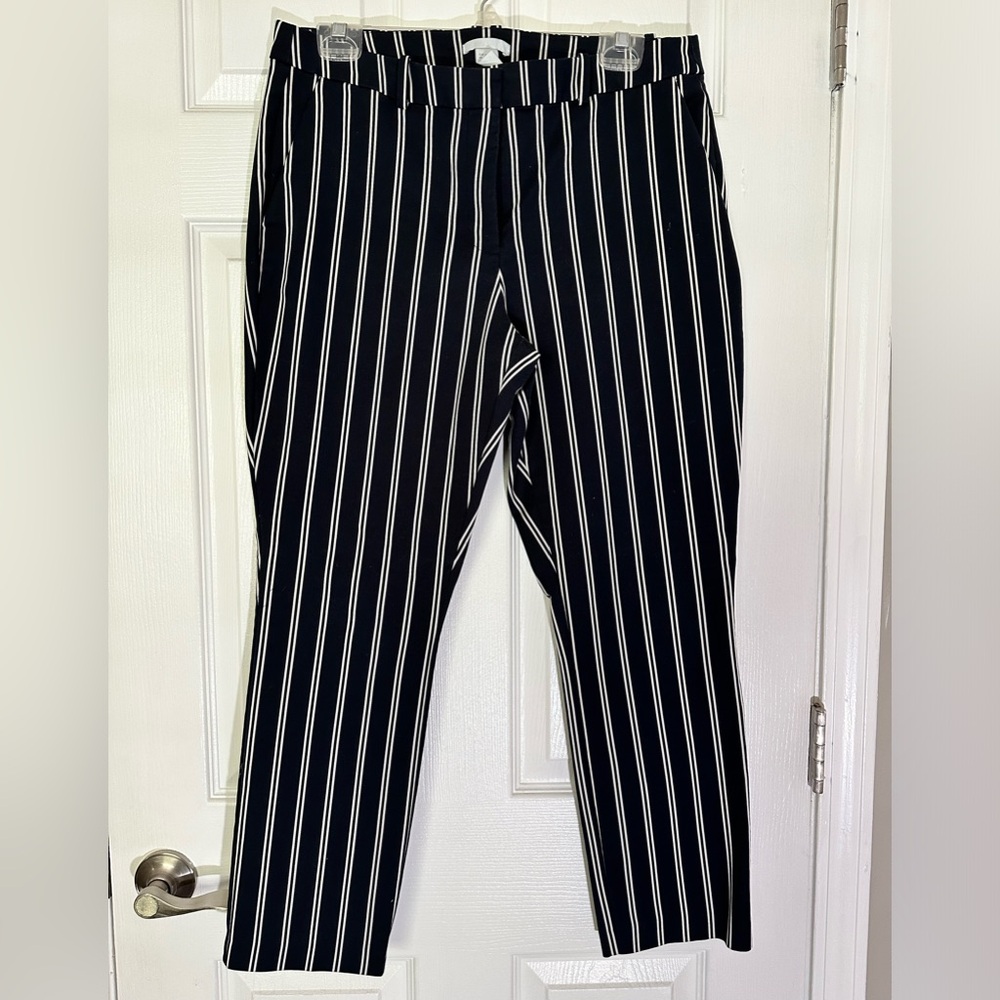 Navy ankle length pin-stripped pants
